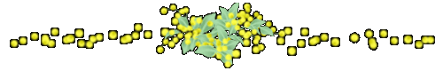 mimoza01_c4b.gif