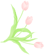 tulip04_c2l.gif