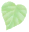 leaf03_n4y.gif