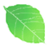 leaf12_n1.gif