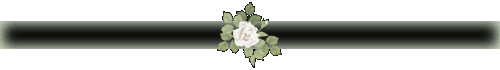 rose24_c6by.gif