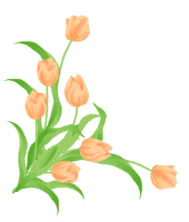 tulip02_c2l.gif