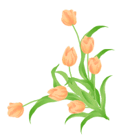 tulip02_c2r.gif